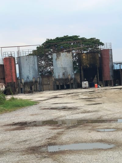 The image shows a collection of industrial storage tanks, some red and some silver, standing on a gravel lot with puddles of water. These tanks appear weathered and possibly disused. A metal framework connects the tanks at their tops. Behind the tanks, a leafy tree fills the space, partially obscuring the background. The sky is overcast. The location is unspecified within El Bajío, Venezuela. The scene is devoid of human activity and any immediate ongoing actions.