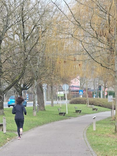 The scene depicts an outdoor park or greenspace in Bech-Kleinmacher, Luxembourg, under an overcast sky. A single individual, appearing to be female, is captured mid-stride running away from the camera on a light grey paved pathway that curves towards the right. She has dark, shoulder-length hair in motion, and is wearing a dark long-sleeved top, dark leggings, and pink/purple athletic shoes with white soles.
The pathway is bordered by green grass. Numerous deciduous trees, largely bare of leaves and some exhibiting lichen growth on their bark, line the pathway. A prominent weeping willow-type tree with long, yellowish, drooping branches is visible on the right side of the frame. Four park benches are present: one is partially visible on the left beside the path, and three are spaced further down on the right side of the path, set back in the grass. Two light-colored posts stand adjacent to the pathway.
In the background, a multi-lane road is visible, running parallel to the greenspace. A blue vehicle is partially visible on this road, moving away from the viewer. Several road signs are discernible, including a blue rectangular sign indicating a pedestrian crossing, a large green rectangular sign with white text, and other traffic signage. A traffic light displaying a green signal is also present. A pink-colored building with a dark roof is visible beyond the road.