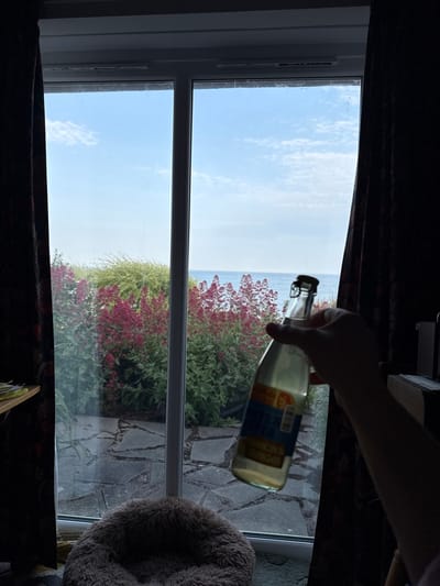From a window, a partial view of a blue sky and distant ocean is visible. Outside, green shrubbery with clusters of red flowers grows near a paved area. A hand holds a glass bottle containing a yellow liquid with a blue and yellow label, partially obscuring the scenery. Heavy curtains frame the top and left of the window, while a fluffy, round object sits to the right.