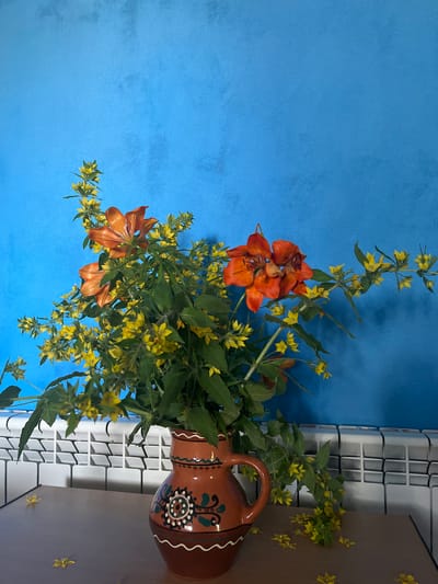 A still life composition features a terracotta vase filled with a vibrant bouquet of orange lilies and small yellow flowers, set against a textured blue wall. The vase, adorned with colorful painted patterns, sits on a wooden surface. To the right of the vase, a white radiator is visible. Scattered yellow petals lie on the wooden surface in the foreground. The scene appears to be indoors, possibly in a residential setting in Pivniceni, Moldova.