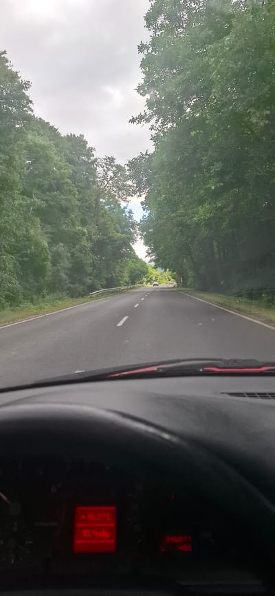 The image is taken from inside a car, looking forward along a paved road lined with dense green trees on both sides. The road has a white dashed line dividing the lanes. A silver car is visible in the distance. The sky is overcast and light gray. The dashboard of the car is visible in the foreground, with red digital displays showing what appears to be the outside temperature as "16.0°C" and "87.00km". The location is identified as Dolno Sahrane, Bulgaria.