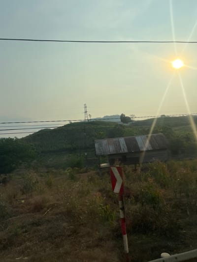 The image presents a landscape view under a bright sun, likely taken during the day. The foreground consists of dense vegetation, transitioning into what appears to be a hillside covered in trees and foliage. A small building with a corrugated metal roof stands amidst the vegetation. Power lines stretch across the left side of the frame. A red and white striped sign is seen on the right side of the image. Based on the prompt's information, the location is Myui, Vietnam. No people are visible in the image.