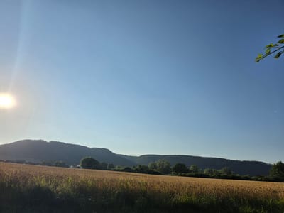 The image depicts a rural landscape under a clear, blue sky. In the foreground, a field of golden wheat stretches across the frame, with green grass in the immediate foreground. In the midground, a line of trees separates the wheat field from a gently rolling hill that forms the background. Several small buildings are visible nestled among the trees at the base of the hill. The sun is visible in the upper left corner of the image, casting a bright light and creating a lens flare. The overall scene suggests a warm, sunny day in a pastoral setting, potentially in or near Godelheim, Germany, given the style of architecture and the agricultural landscape. The image is captured from a low angle, looking towards the horizon.