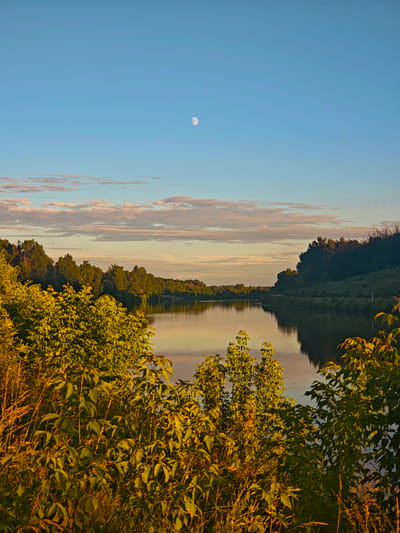 The image depicts a tranquil natural scene, likely at dusk or dawn, given the soft lighting and the presence of the moon in a pale blue sky. The setting is a body of water, possibly a river or a lake, reflecting the pastel hues of the sky and surrounding landscape. Lush green foliage frames the foreground, with trees lining the banks of the water, creating a sense of enclosure and serenity. The trees on the right side of the image appear to be on a gentle slope. In the distance, the horizon is dotted with more trees, suggesting a rural or natural environment.
The activity taking place is none; it's a still, observational shot capturing the quiet beauty of nature. Notable details include the waxing crescent moon visible in the upper part of the sky, and the warm, golden light that bathes the foliage, indicating either sunrise or sunset. The clouds are scattered and wispy, tinged with pink and orange, further contributing to the peaceful atmosphere. The water is calm, with gentle ripples disturbing its glassy surface. There are no visible people or man-made objects, emphasizing the untouched, natural aspect of the scene. The overall emotion conveyed is one of peace, calm, and natural beauty. No visible text is present in the image. The provided location context, "Водник Снт, Russia," anchors the scene to a specific geographical area in Russia.