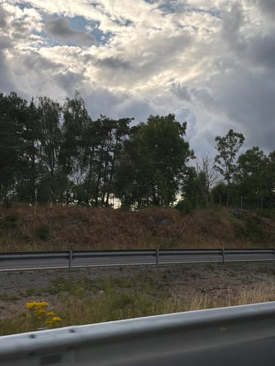 The image depicts a roadside scene in Väröbacka, Sweden. The foreground features a grey metal guardrail, partially obscuring a view of a gravel shoulder with sparse grass and a clump of yellow wildflowers. Beyond the shoulder is a paved road with a white line. Further back, a grassy embankment is covered with dry, brown vegetation. A dense line of trees, including pines and birches, forms a backdrop against a cloudy sky. The clouds are a mix of grey and white, with some shafts of sunlight breaking through. The overall impression is of a natural, somewhat overcast landscape by a road.
