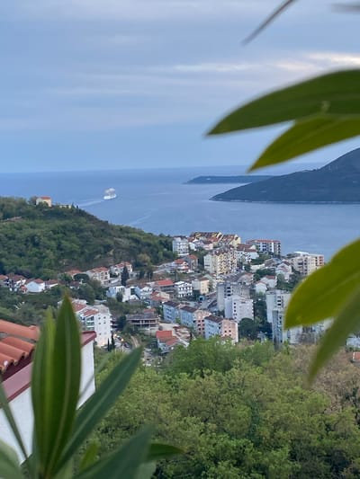 The image is an aerial view of Trebesin, Montenegro, taken from an elevated position and obscured partially by foliage in the foreground. The scene includes a cluster of buildings with mixed architectural styles, predominantly white with red-tiled roofs, nestled on a hillside covered with lush, green trees. Beyond the settlement is a body of water with two prominent landmasses in the distance. A ship can be seen on the water. The sky is overcast, and the composition is slightly tilted. The foreground foliage frames the scene, adding a natural element to the urban landscape.