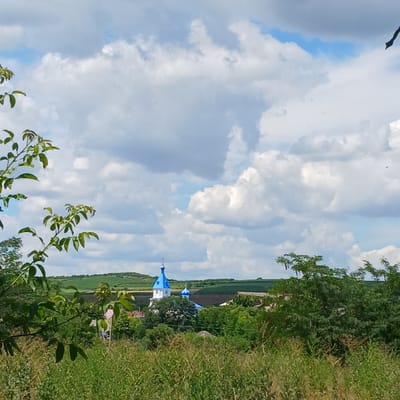 This image captures a serene rural landscape in Căzănești, Moldova. In the background, a prominent church with a bright blue dome stands out against a sky filled with dramatic white clouds. The church is surrounded by lush green trees and fields, suggesting a peaceful and idyllic setting. In the foreground, the branches of a leafy tree partially obscure the view, adding depth and a natural framing to the scene. The overall impression is one of a tranquil, sunlit day in the Moldovan countryside, with the church serving as a focal point within the verdant environment.