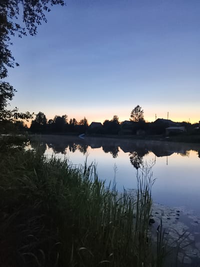 The image depicts a serene dawn over a body of water, likely a river or lake, in the village of Vidlitsa, Russia. Tall, dark green reeds and grasses line the left bank of the water, reaching towards the surface and reflecting in its calm depths. The water itself is still, mirroring the silhouettes of trees and buildings on the opposite bank. A few scattered lily pads are visible on the water's surface in the lower right quadrant.
Across the water, a line of trees forms a dark silhouette against a pale sky. Interspersed within the trees are several buildings, appearing to be houses with visible roofs and some structures that may be sheds or outbuildings. The architecture suggests a rural or semi-rural setting. A distinct, light blue object, possibly a boat or inflatable toy, rests on the bank on the far side.
The sky above transitions from a deep, dusky blue at the top to a soft, warm orange and yellow hue near the horizon, indicating the early moments of sunrise. The overall atmosphere is peaceful and still, characteristic of a quiet morning in the Russian countryside. No people are visible in the frame, and there are no immediate signs of human activity beyond the structures. The lighting suggests early morning, with the sun not yet fully risen.