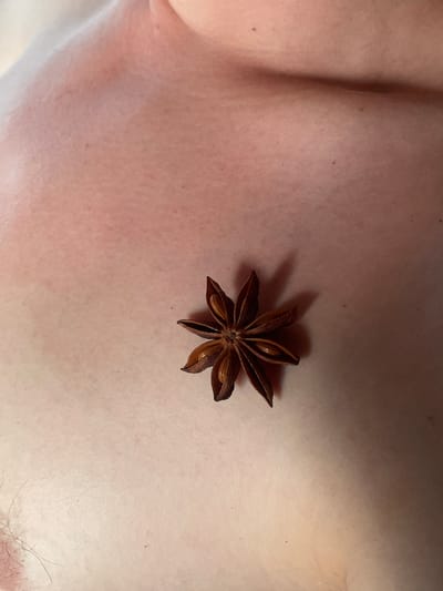 An overhead shot shows a single star anise spice resting on a person's skin. The skin appears to be part of the chest or shoulder, with visible pores and some light redness. The star anise is brown and has eight points, with seeds visible in the center of each point. The background is out of focus, but it appears to be the continuation of the person's skin. The lighting is warm and natural, casting a soft shadow from the spice. There is no indication of the location in Gerstheim, France.