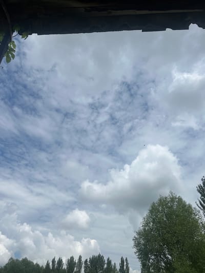 The image captures a cloudy sky from the perspective of looking upwards, framed by a dark, rustic wooden structure at the top. Vine leaves are visible on the left side, dangling from the structure. The sky is a dynamic mix of white cumulus clouds and thinner, wispy cirrus clouds against a pale blue background. A single small bird is visible in flight against the clouds. Below the sky, a line of green trees forms the horizon. On the right side of the frame, a large, leafy green tree dominates the foreground. The overall scene suggests an outdoor environment, likely in Karakol, Kyrgyzstan, given the context.