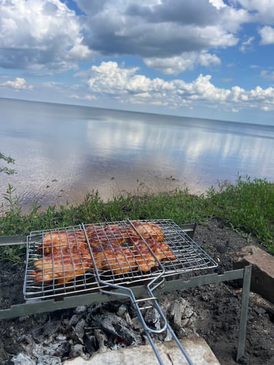 A grilling rack with meat is positioned over a bed of ash and embers, on a grassy embankment overlooking a large body of water. The water's surface reflects the cloudy blue sky. In the foreground, the grilling rack is filled with several pieces of browned meat, likely chicken or pork, that appear to be glazed. The rack is made of silver metal with a handle. The ash and embers are dark gray and black, with some larger pieces of charcoal visible. The grassy embankment is covered with green grass and some dry, thin stalks. In the background, the water extends to the horizon, where it meets the sky. The sky is filled with large, white, fluffy clouds scattered against a light blue background. The scene appears to be outdoors, likely in a natural setting near water.