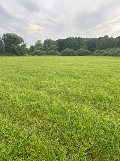 A wide, open, grassy field occupies the foreground of the image. The grass is lush and green, with varying lengths and textures, suggesting it is unmown. In the middle ground, a dense line of trees forms a natural boundary across the horizon. These trees vary in height and species, with some appearing as tall, mature trees and others as smaller, bushy growths. The sky above is overcast with a layer of grey clouds, indicating a likely cloudy or rainy day. The scene appears to be a natural or semi-natural landscape, possibly a park, meadow, or undeveloped area within or on the outskirts of Terny, Ukraine. There are no people or visible structures in the image.