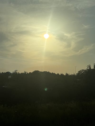 The image depicts a natural scene during the day, likely outdoors in a rural or natural setting, possibly near Wuustwezel, Belgium. The sun is prominently visible in the left half of the frame, shining brightly and casting a lens flare. The sky is filled with thin, wispy clouds, suggesting fair weather or perhaps the early stages of cloud formation.
The right half of the image is dominated by a dark, silhouetted mass of trees and foliage, creating a strong contrast with the bright sky. The terrain appears to slope upwards towards the trees. Scattered amongst the trees are what appear to be utility poles or light poles, hinting at the proximity of human infrastructure to this natural landscape. In the foreground, the ground is covered in what looks like grass or vegetation, also silhouetted against the sky. There are faint glints of light on the dark ground, possibly from artificial lighting or reflections.
The overall mood is serene and somewhat dramatic due to the strong contrast between light and shadow, and the bright glare of the sun. The time of day is likely morning or late afternoon, given the position of the sun and the quality of light. No people are visible in the image, and there is no visible text. The image appears to be a still photograph, possibly taken while in motion, given the slight blurriness and the angle of the composition.