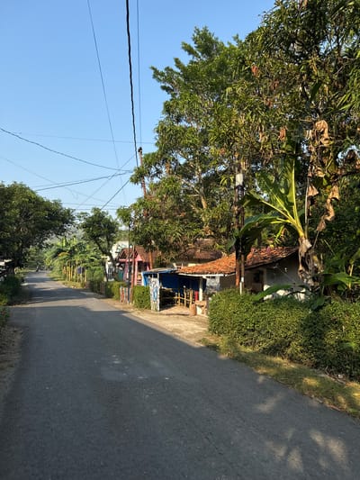The image depicts a paved road in a rural village setting, likely in Alian, Indonesia, given the context. The road curves slightly to the left and is bordered by lush green vegetation and several small buildings. On the right side of the road, there are some houses with tiled roofs and an outdoor stall covered by a blue tarp. A well-maintained hedge runs along the front of these properties. Large trees, including what appear to be banana trees and mango trees, with some brown leaves, flank the buildings and the road. Overhead, power lines are strung between utility poles, indicating the presence of electricity. The sky is a clear, bright blue, suggesting a sunny day, and the sunlight casts shadows across the road and vegetation, indicating the time of day is likely late morning or early afternoon. A person on a motorcycle is visible in the distance on the left side of the road, heading away from the viewer. The overall impression is a tranquil, everyday scene in a tropical rural environment.