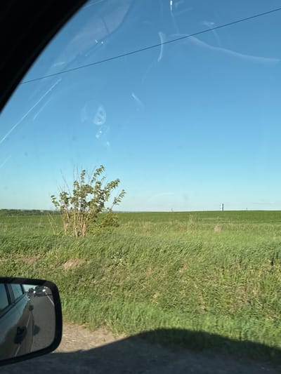 The image shows a view from inside a vehicle, likely a car, driving along a rural road. The foreground is dominated by the vehicle's interior, including the windshield with reflections and the side mirror. The side mirror shows a reflection of another vehicle behind. Outside, there is a landscape of green grass or field. A small bush or tree is visible near the roadside. The sky is clear and blue. The location is presumed to be near Osentsy, Russia, based on the prompt, but there is no definitive visual evidence to confirm the location. There is no evidence of people or any specific actions or interactions.