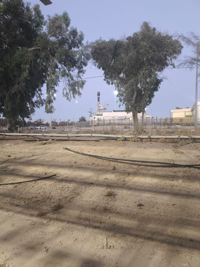 The image shows an industrial scene in Dimona, Israel, likely at dusk given the muted light and clear, pale blue sky. The foreground is a dusty, sandy ground with several dark, flexible pipes scattered across it, indicating some form of construction or maintenance work. In the mid-ground, a large industrial facility dominates the background, featuring a tall smokestack with a red flag on top, multiple buildings with light-colored facades, and a chain-link fence surrounding the area. Several streetlights are visible, illuminating the scene with a soft glow. Trees, with their leaves appearing somewhat sparse, frame the left side of the image and add a touch of nature to the otherwise industrial setting. A few cars are parked in the distance, suggesting some level of activity within the facility. The overall impression is one of a working industrial site during a transitional period of the day.