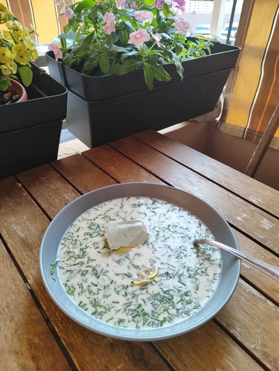 A close-up shot shows a bowl of cold soup, likely Okroshka, garnished with a cube of ice and a lemon slice, sitting on a rustic wooden table. The soup is creamy white and liberally sprinkled with finely chopped green herbs, possibly dill and chives. The bowl itself is a light gray color. A silver spoon rests within the bowl, partially submerged in the soup.
In the background, out of focus, are two large black planters filled with lush green plants. One planter holds delicate pink flowers, while the other has bright yellow flowers. Behind the planters, a striped curtain, in shades of yellow and beige, hangs vertically. The scene appears to be set outdoors, possibly on a patio or balcony, given the presence of plants and the rustic wooden table. The lighting suggests it might be daytime, perhaps late morning or early afternoon, with soft, diffused light. The overall impression is one of a refreshing, summery meal enjoyed in a casual, outdoor setting. No visible text is present in the image. The location context is El Campello, Spain.