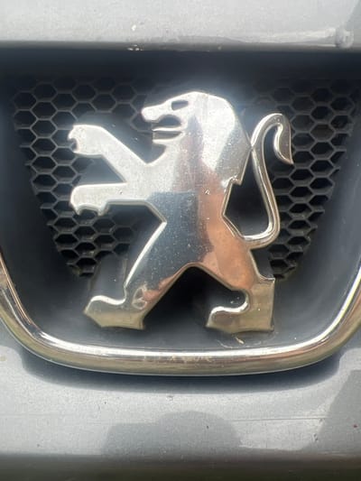 The image shows a close-up of a silver Peugeot emblem, which features a lion, set against a black honeycomb grille. The emblem is highly reflective, showing some smudges and imperfections. The grille is visible behind the emblem and has a distinct hexagonal pattern. The background appears to be a grey car body. The lighting suggests it is daytime, and there are no specific weather cues visible. The image is a static shot focused solely on the car's badge, without any people or discernible activity. There is no visible text in the image. The location context provided is Astoņi, Latvia.