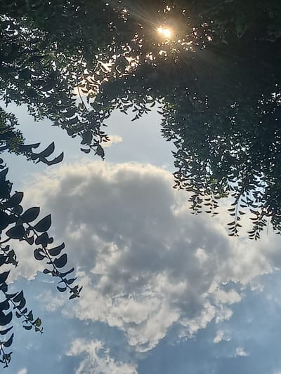 The image captures a view looking upwards through the branches of trees towards a sky filled with clouds. The sun is visible through the foliage, casting rays of light. The trees are dark green, with many leaves obscuring portions of the sky. The sky itself is a mix of blue and white, with several fluffy clouds. The scene appears to be outdoors in an area with trees and a sky typical of Keles, Uzbekistan. There are no people or specific objects that indicate a particular activity or interaction. The overall impression is one of natural scenery.