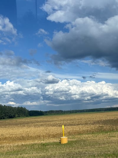 This is a vertical, eye-level, outdoor photograph of a rural landscape under a dynamic sky. The foreground features a field of dry, golden wheat or barley, with some green grass in the very bottom left corner. In the middle ground, a bright yellow markerpost with a concrete base stands in the field. Beyond the field is a dense line of dark green trees, forming a forest edge. In the background, there is a wide expanse of sky filled with a dramatic mix of white, fluffy cumulus clouds and darker, more ominous storm clouds. The overall impression is one of a vast, open agricultural area under a changing weather pattern. The location is identified as Грозаўскі сельскі Савет, Belarus. There are no people or animals visible in the image.