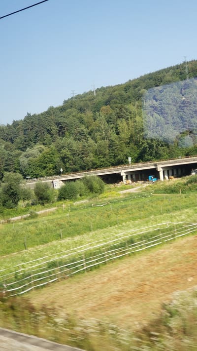 The image captures a rural landscape near Hlboké nad Váhom, Slovakia. A multi-lane overpass, constructed from concrete, dominates the midground, supported by numerous pillars. The overpass is surrounded by a lush green hillside covered in dense forestation. In the foreground, a field of green grass with scattered white wildflowers is visible, bordered by a white electric fence. The sky is clear and blue. Two large electrical towers can be seen on the distant hillside. A blue truck is parked underneath the overpass, and what appears to be construction materials are stacked nearby. The image is taken from a moving vehicle, indicated by motion blur in the foreground.