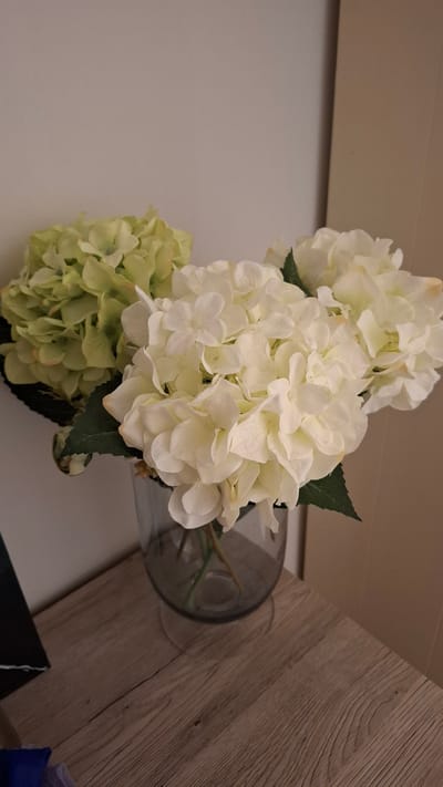 The image shows a close-up of a bouquet of artificial hydrangeas in a clear glass vase. The bouquet consists of three large flower heads: one is a pale green, and the other two are off-white. Some dark green leaves are visible amongst the flowers. The vase is placed on a light-colored wooden surface, possibly a table or shelf. In the background, a plain wall is visible, with a vertical element, possibly a door or cabinet, to the right. There are no people or animals in the image. The lighting suggests an indoor setting, possibly in a home. No specific location in Buchen (Odenwald), Germany can be determined from the visual information provided.