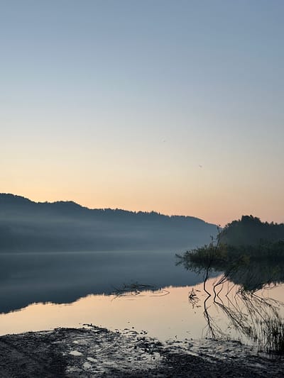 The image depicts a tranquil dawn scene at a lake in Zelenogorsk, Russia. The sky transitions from a pale blue at the top to a soft peach and pink hue near the horizon, indicating the early hours of sunrise. A chain of misty, tree-lined hills forms a dark silhouette against the lighter sky, with fog obscuring the lower slopes and the surface of the water. The lake's surface is calm and reflective, mirroring the colors of the sky and the dark outlines of the distant hills. In the foreground, the muddy, wet bank of the lake is visible, with some vegetation and exposed earth. A thin, bare tree branch extends from the water's edge and casts a distorted reflection on the glassy surface of the lake. The overall atmosphere is serene and quiet.