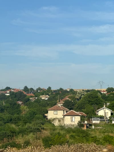 The image shows a rural landscape with houses nestled amongst lush green trees under a clear blue sky. In the foreground, there is a dense patch of dry, fluffy plants. Behind this, a small village is visible, characterized by houses with red-tiled roofs and stone or stucco exteriors. Some of these houses appear to be older, with visible stone foundations. The village is surrounded by abundant foliage, with trees of varying shades of green dominating the scene. In the distance, a large power pylon stands prominently against the sky, indicating the presence of electrical infrastructure. The overall impression is that of a peaceful, sunlit day in a Bulgarian countryside setting, specifically the area of Troyanovo. There are no people or animals visible in the image.