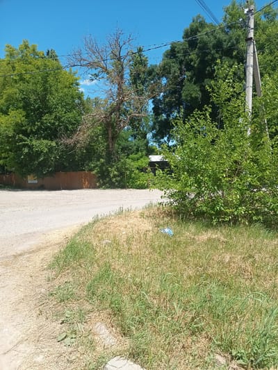 This is a daylight, eye-level, medium shot of a rural scene in Krymsk, Russia. The foreground is dominated by dry, yellowing grass with patches of green, and a sandy, dirt road curves into the middle ground. A wooden fence runs horizontally across the midground, with dense green trees behind it. A tall, grey utility pole with wires is visible on the right side, flanked by more trees. The sky is a clear, bright blue. There are no people or animals visible in the frame, and no discernible actions or interactions are taking place. The environment appears dry and somewhat unkempt, suggesting a warm climate.