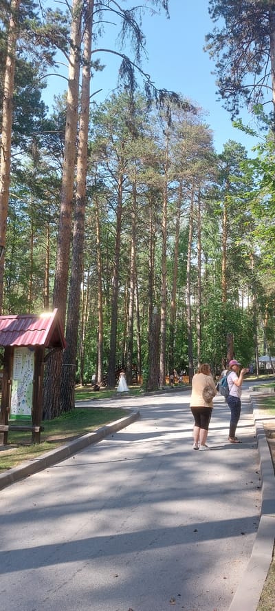 The image depicts a park scene in the city of Berdsk, Russia, with a paved pathway winding through a dense pine forest. The pathway is bordered by grass and a concrete curb. In the foreground, two women are standing on the pathway, facing away from the camera. One woman, wearing a light-colored top and dark pants, has a patterned bag slung over her shoulder. The other woman, wearing a pink hat and a light-colored shirt with dark pants, is holding a phone to her ear and appears to be taking a picture. Further down the path, a person in a white wedding dress is visible, standing in a clearing. To the left, a wooden information kiosk with a red roof displays a map. The trees are tall and slender with dense green foliage, and the sky is clear blue. The overall atmosphere suggests a sunny day in a recreational area.