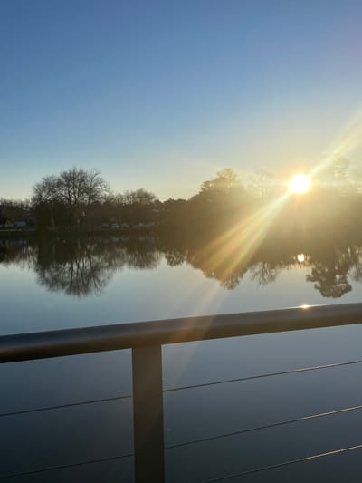 The image depicts a serene lake scene at sunrise or sunset. The sun, a bright orb with prominent rays, is visible in the upper right quadrant of the image, casting a warm glow over the water and the silhouetted trees on the opposite bank. The trees are bare of leaves, suggesting a winter or late autumn season. Reflections of the trees and the sky are clearly visible on the calm surface of the water. In the foreground, a dark railing with horizontal supports runs across the bottom of the image, obscuring a portion of the lake. The sky is a clear, soft blue. The location is identified as Lake Weeroona in Bendigo, Australia.