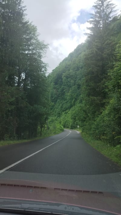 The image is a view from inside a vehicle driving on a paved road bordered by dense green trees and foliage. The road has a white line marking the edge. The sky is overcast with patches of blue sky visible. The trees are lush and green, suggesting a temperate climate. The overall impression is of a rural or natural setting. The image appears to have been taken during the daytime, likely late morning or afternoon, given the natural light. The weather seems to be mixed, with clouds but also some brightness. There are no people visible in the image. The interior of the vehicle is partially visible on the right side, showing a dashboard or trim. No text is clearly legible in the image. The scene conveys a sense of travel through a green, possibly forested area.