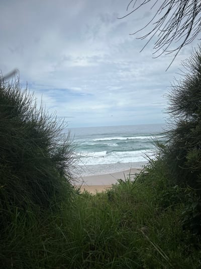 A beach scene is viewed through a natural frame of dense green grass. The ocean stretches horizontally, waves breaking onto the sandy shore. The sky above is overcast with grey clouds. A few surfers are visible in the water, riding the waves. The overall perspective offers a glimpse of the coastal landscape.