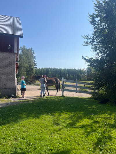 This image depicts an outdoor scene at an equestrian facility in Sipoo, Finland, illuminated by direct sunlight under a clear blue sky. In the central mid-ground, a dark brown horse stands facing left on a dirt ground. Two adult females and one infant are present near the horse. The female on the left wears a light blue t-shirt and dark shorts, observing the scene. The central female, with her back to the camera, wears a light-colored top and jeans, holding an infant wearing a pink head covering; the infant is oriented towards the horse. Horse tack is suspended from a fence post adjacent to the horse. A light-colored, multi-rail fence separates this dirt area from a vibrant green grass lawn in the foreground. A dark-colored dog is recumbent on the grass in the shade of a large deciduous tree on the right. In the background, a dense treeline composed of both coniferous and deciduous trees forms a natural boundary. A building, featuring a red upper facade, a light-colored brick lower section, and a corrugated metal roof, is partially visible on the far left.