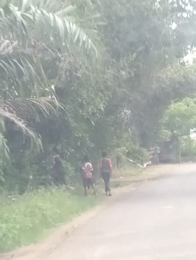 In Teupinreusep, Indonesia, a hazy, overcast day is depicted. A paved road runs diagonally across the scene from the lower right to the upper left. To the left of the road, a patch of lush green grass meets a dense area of trees and foliage. Three individuals are visible. One person, wearing a pink shirt and dark shorts, stands on the grass near the edge of the road. Further back in the foliage, two other figures are present, one appearing to wear a dark top and the other a light-colored shirt. The vegetation is thick, with large, frond-like leaves dominating the left side of the frame. In the background, on the right side of the road, structures resembling buildings or sheds can be seen amidst the trees.