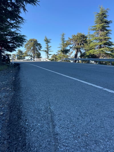 The image shows a paved road curving upwards in the city of Troodos, Cyprus, with a dense forest of tall coniferous trees lining the right side of the road. The sky is a clear, bright blue. A metal guardrail runs along the edge of the road on the right, separating it from a steep drop. On the left side of the road, the terrain slopes down with loose gravel and some vegetation. In the background, several individuals can be seen on the road, some appearing to be walking or standing near a bridge or overpass. The perspective is low, suggesting the photo was taken from ground level. The lighting indicates it is daytime, likely morning or afternoon.