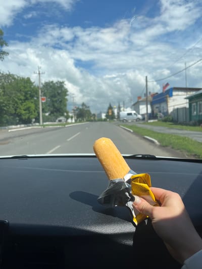 The image shows a person's hand holding an unwrapped ice cream bar inside a car. The car's dashboard is visible in the foreground. Through the windshield, a road lined with trees and buildings can be seen. In the distance, a white van and a flag are visible. The sky is blue with white clouds. The scene is consistent with a street view in the city of Dalmatovo, Russia.