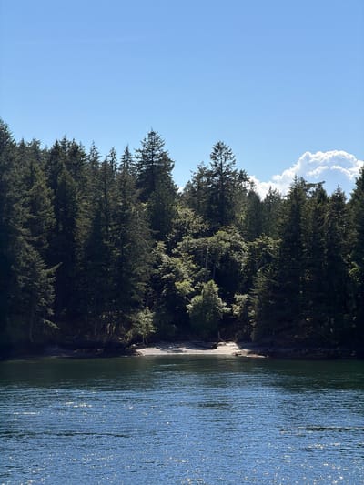 The image shows a serene coastal scene with a dense evergreen forest bordering a calm body of water. The water in the foreground is a deep blue, reflecting the sunlight with numerous sparkling glints. The shoreline features a strip of light-colored sand or gravel, backed by the dark, lush green of the forest. The trees are tall and densely packed, creating a natural wall along the coast, with sunlight filtering through some of the canopy, highlighting lighter green foliage. The sky above is a clear, bright blue, with a few fluffy white clouds visible on the right side. The scene appears to be captured from a boat or a vantage point on the water, looking towards the shore. The location is identified as being in the Southern Gulf Islands Electoral Area, Canada.