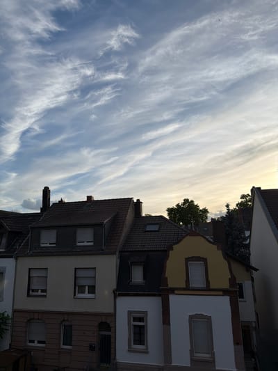 The image shows an outdoor scene, likely a residential area in Ludwigshafen am Rhein, Germany, during the daytime. The sky is filled with wispy, white cirrus clouds against a blue background, with hints of yellow and orange suggesting a late afternoon or early evening sunset.
In the foreground, the roofs and upper facades of several multi-story buildings are visible. The architecture appears to be typical of European urban housing, with tiled roofs, chimneys, and windows. One building has a distinct yellow-colored upper facade with a gabled roofline. Another building is partially visible on the right, with a white facade and a steeply pitched roof. The lower portions of the buildings are darker, with some showing brickwork and windows with closed shutters.
The overall impression is of a quiet urban environment under a dynamic sky. There are no people visible in the image, and no discernible actions are taking place. The scene is static and focuses on the architectural elements and the atmospheric conditions. A small bird is visible in flight in the upper portion of the image.