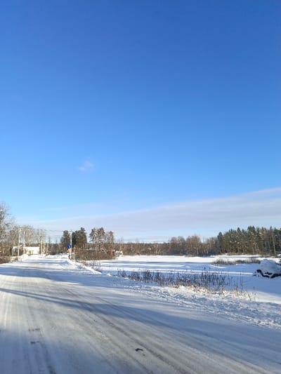 The image depicts a winter landscape in Гвардейское, Russia, under a clear, bright blue sky with minimal cloud cover. A snow-covered road, exhibiting visible tire tracks, runs from the bottom foreground, curving slightly left into the midground. To the left of the road, multiple utility poles with overhead lines are present, alongside bare deciduous trees and distant, snow-dusted buildings. To the right of the road lies a flat, snow-covered body of water, likely frozen, extending into the midground. Dry reeds and tall grasses protrude from the snow along the immediate edge of this frozen expanse. The background is dominated by a dense line of snow-covered trees, consisting of both evergreens and bare deciduous species. A blue rectangular directional sign with a white left-pointing arrow, accompanied by a smaller circular sign below it, is visible on a pole near the road on the left side, adjacent to the tree line. No individuals or active subjects are present in the scene.