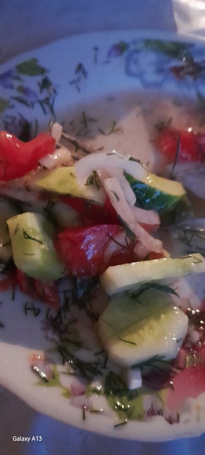 This is a close-up, low-angle, vertical shot of a salad in a shallow, floral-patterned bowl. The salad appears to be made of sliced cucumbers, tomatoes, and white onions, garnished with dill. The lighting is dim and casts a blue-purple hue over the scene, with some bright white highlights on the vegetables. The bowl's floral pattern is visible along the rim, featuring green leaves and pink and purple flowers. The background is blurred and dark, possibly indicating indoor lighting or twilight. The bottom left corner of the image shows the text "Galaxy A13", identifying the device used for the photograph. There are no people or animals visible in the image. The setting is likely a domestic environment, possibly a kitchen or dining room in a home located in or near Rashkov, Moldova.