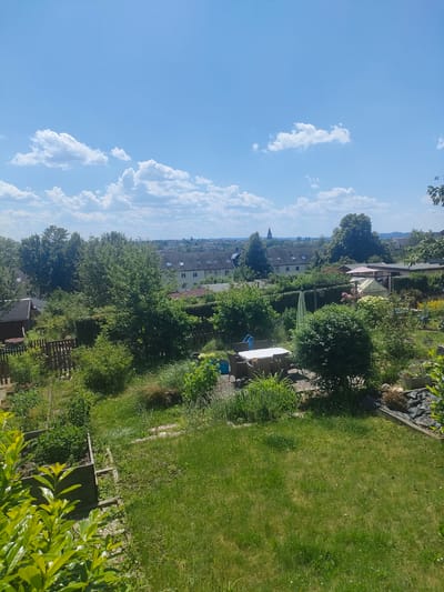 This is an eye-level, wide-angle photograph of a lush, overgrown garden on a sunny day. The sky is a bright blue with scattered white, fluffy clouds. The scene appears to be a backyard in a suburban or semi-rural setting, likely in Chemnitz, Germany, given the architectural style of the distant houses.
In the foreground, there is a raised garden bed filled with green plants, bordered by rocks. To the right of this, a large expanse of vibrant green grass dominates the frame, with patches of wilder, taller grass. Further into the midground, a wooden fence encloses a section of the garden. Beyond the fence, a patio area is visible, featuring a white table with wicker chairs, indicating an outdoor dining or relaxation space. Adjacent to the patio is a large, bushy green tree.
Scattered throughout the garden are various plants, bushes, and some flowers, suggesting a well-established and perhaps slightly untamed garden. A small greenhouse and a pink umbrella can be seen further back, nestled amongst the greenery. In the distance, a row of houses with pitched roofs and dormer windows can be seen, and beyond them, a city skyline with a church spire is faintly visible. The overall impression is one of a peaceful, sun-drenched summer afternoon in a private garden. The image is free of any visible text.