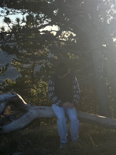 A person sits on a fallen tree in a forest setting. They wear light blue pants, dark sneakers, and a dark, long-sleeved shirt with light horizontal stripes on the sleeves. The tree trunk is weathered and light gray in color, resting amidst green grass. Dense trees with drooping branches surround the scene, with a glimpse of a distant mountain visible between the trees. The image is slightly obscured by sunlight or haze.