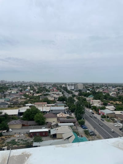 This is a vertical, eye-level, outdoor aerial shot of a residential area in Lebedinovka, Kyrgyzstan. The image is split into two halves: the left side shows a hazy sky, while the right side reveals a densely packed neighborhood of houses with various colored roofs. A road runs through the middle of the visible neighborhood, with cars parked along the side and driving on it. Trees are scattered throughout the area, providing a green contrast to the buildings. In the foreground on the right, a portion of a white building is visible, appearing to be a large structure, possibly a high-rise, with some staining on its exterior. The weather appears overcast, contributing to the hazy atmosphere. The time of day is difficult to determine precisely due to the overcast conditions, but it seems to be daytime. There is no visible text in the image. The scene depicts a typical urban or suburban environment with residential housing and infrastructure.