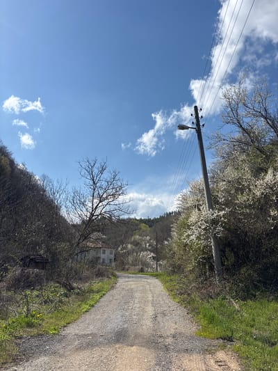 The image shows a rural road in Liava Reka, Bulgaria. The road, composed of gravel and dirt, curves into the distance. On either side of the road, there's vegetation including grass and trees, with some trees exhibiting white blossoms. A power pole with electrical wires stands tall on the left, reaching into a bright blue sky with scattered clouds. In the distance, a house is visible amongst the trees on the slope of a hill.