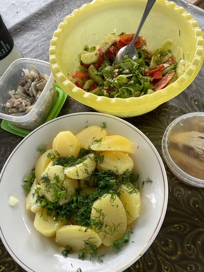 The image depicts a meal laid out on a dark, patterned tablecloth. In the foreground, a white plate is filled with boiled potatoes, generously garnished with chopped green onions and dill. To the left of the plate, a clear plastic container holds chopped herring and onions. Behind these dishes, a large, yellow, fluted bowl contains a salad composed of lettuce, tomatoes, cucumbers, and what appears to be cheese or feta. A spoon is resting in the salad. To the right of the yellow bowl, a small, clear plastic container holds pickled fish, possibly herring. A salt and pepper grinder is visible on the far left of the image. The setting is domestic, suggesting a meal being prepared or consumed, likely in a home in Yasnoe, Russia, given the user's context. No people are visible in the image.