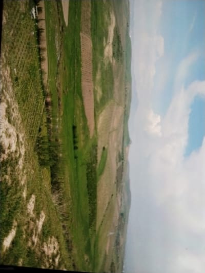 This is an aerial, rotated view of agricultural fields in the region of Tinchlik, Uzbekistan. The landscape is characterized by neatly organized fields, some appearing to be covered in crops and others freshly tilled. A fence line is visible along one edge of the fields, bordering a grassy, uneven terrain. In the distance, rolling hills are discernible. The sky is partly cloudy, with a clear blue expanse dominating the right side of the image. There are no people or specific structures identifiable within the agricultural area.