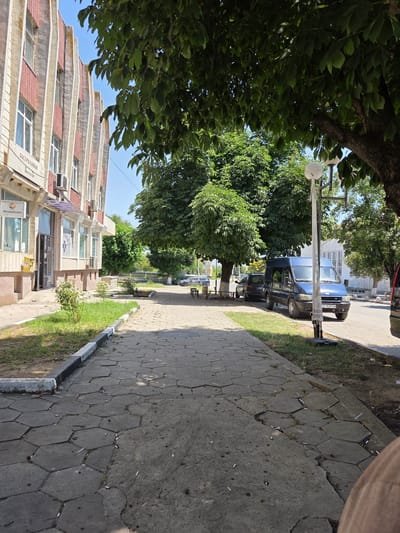 This is a vertical, outdoor, eye-level shot of a street in Todor Ikonomovo, Bulgaria, on a sunny day. In the foreground, a sidewalk made of large, gray, hexagonal pavers stretches along the right side of the frame. The pavers are cracked and uneven in places, with grass growing through some of the gaps. Cigarette butts are scattered across the sidewalk. A concrete curb with a black and white stripe separates the sidewalk from a strip of dry, brown grass and dirt. Behind the grass, a building with red-tiled, stepped roofing and white trim lines the left side of the street. The building has multiple windows and air conditioning units. A street lamp with a round, white shade stands on the sidewalk, partially obscured by the leaves of a large tree. A blue van is parked on the street to the left of the sidewalk. Beyond the van, more trees and buildings are visible. The overall scene suggests an urban or semi-urban environment in daylight.