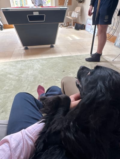 The image shows a person sitting on a light brown couch, holding a black dog. The dog is positioned so its head is facing the camera, with its body curled up in the person's lap. The person is wearing a pink long-sleeved shirt with blue stripes, dark blue pants, and red socks. In the background, there is a black pool table with red felt and a person standing holding a pool cue. The person is wearing black shorts, a dark blue shirt, and black socks. The room has beige tiled floors and a green rug. The location is a private residence in Sand Hutton, United Kingdom, at coordinates 54.025, -0.933.