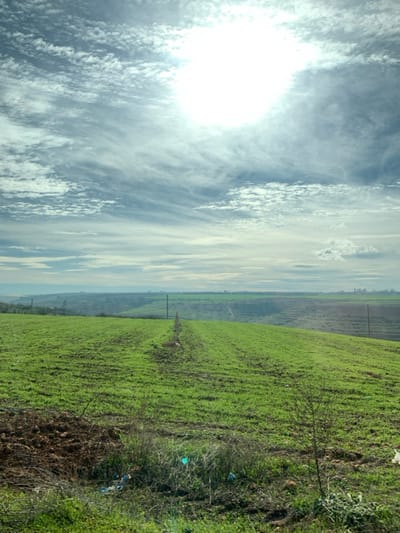 The image presents a vast rural landscape in Sidi Slimane Moul Al Kifane, Morocco, under a sky characterized by a mixture of cirrus and stratocumulus clouds. A bright, diffused sun, partially obscured by clouds, is positioned in the upper center-right, causing a significant lens flare. The immediate foreground displays rough ground with sparse green vegetation, patches of dark soil, and visible litter including plastic bags. The midground is dominated by an expansive, gently sloping field of vibrant green, cultivated crops arranged in distinct linear patterns. A narrow dirt path or track, delineated by several vertical wooden posts, extends through this field from the lower left towards the distant horizon. Beyond the primary field, the terrain descends into a valley, revealing further green agricultural plots and indistinct natural features. The far horizon shows a hazy, light blue-grey outline of distant land, with faint silhouettes resembling industrial structures visible on the right side. No individuals, animals, or active human interactions are depicted within the scene.